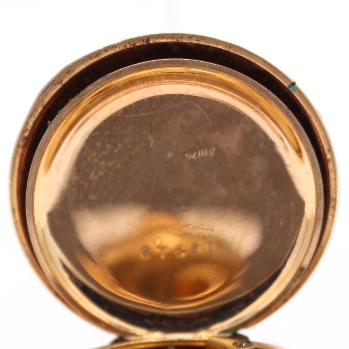 Elgin Floral Multicolor 1897