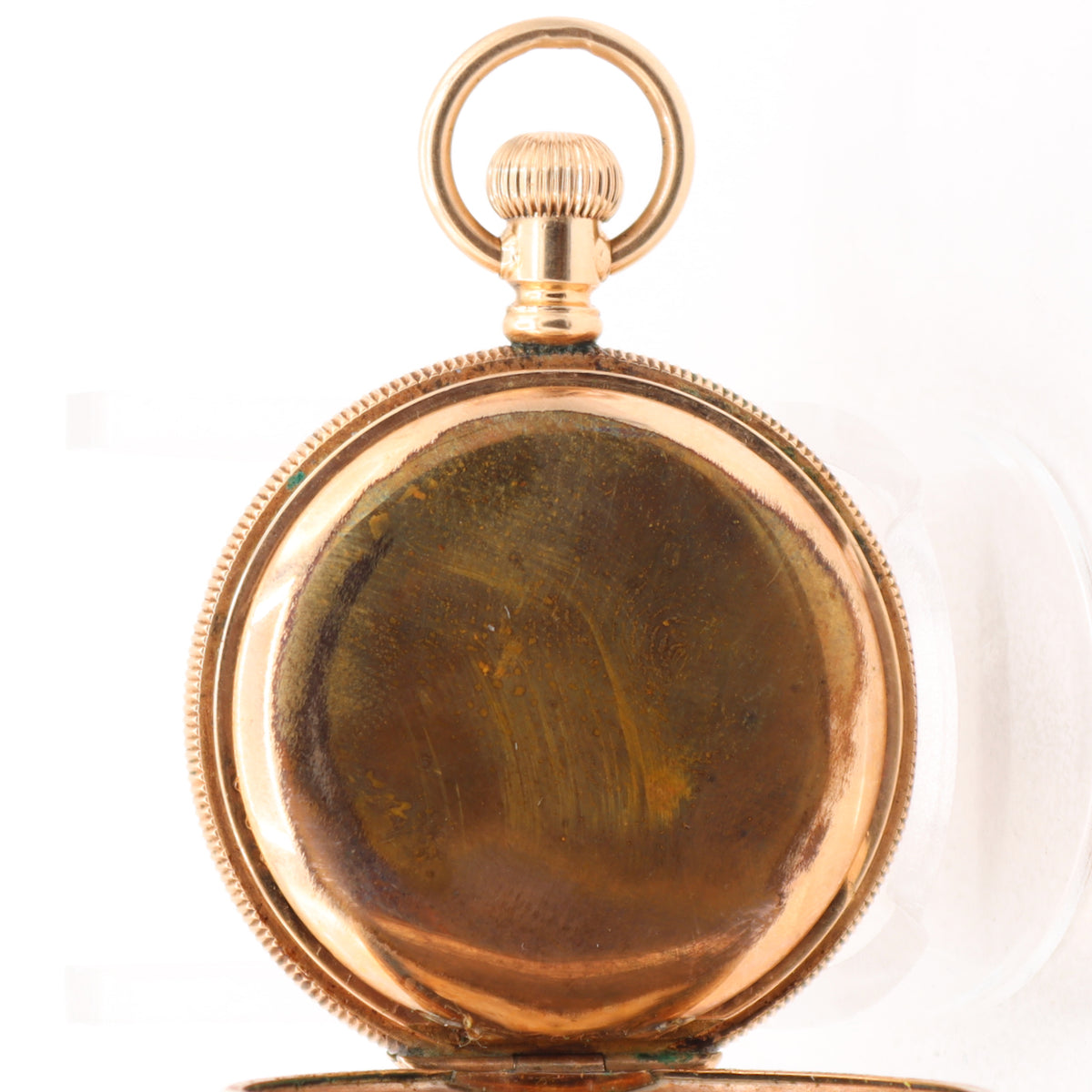 Elgin Floral Multicolor 1897