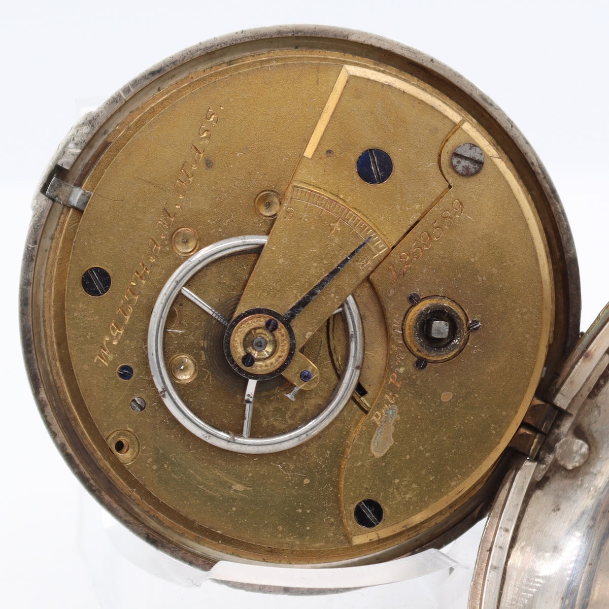 Waltham English Market Pair Case