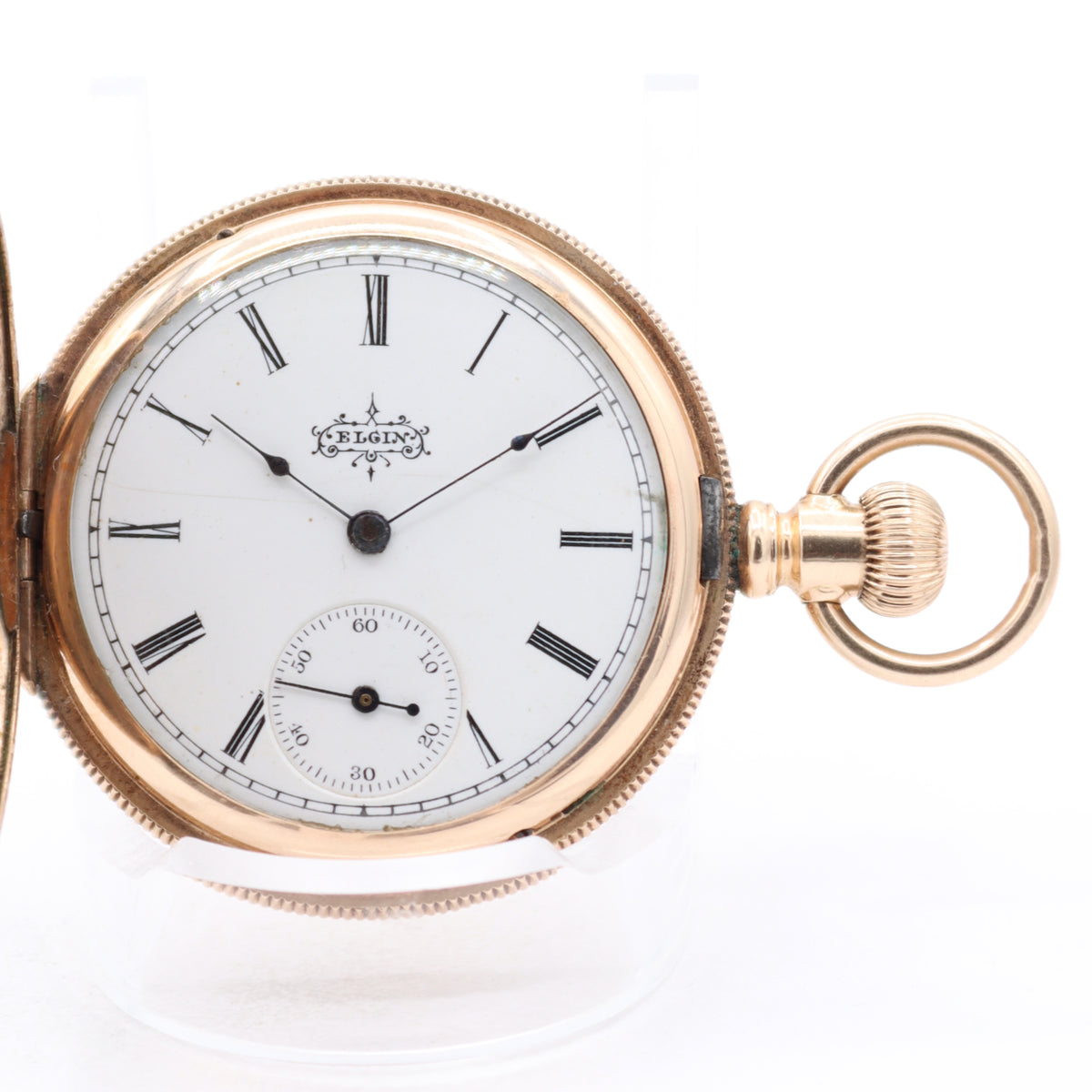 Elgin Floral Multicolor 1897