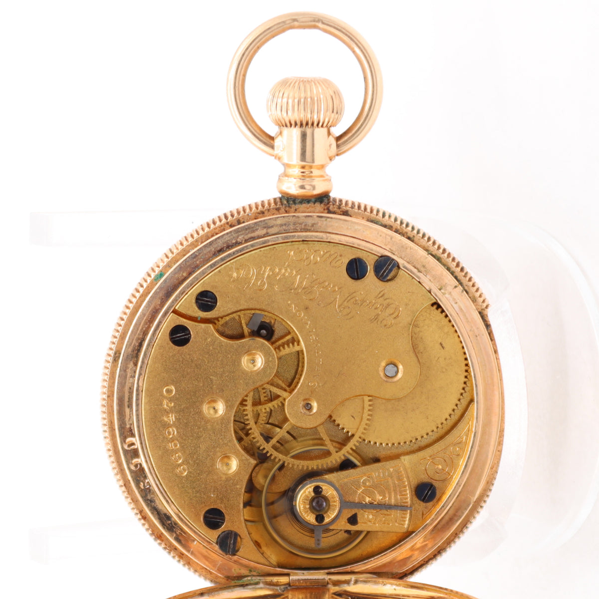 Elgin Floral Multicolor 1897