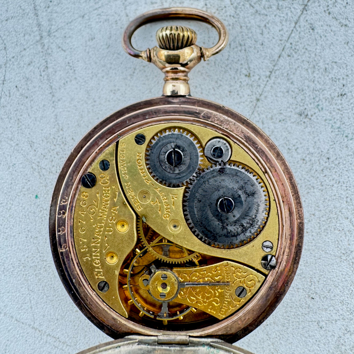 Elgin Tricolor Floral & Bird Motif 1911