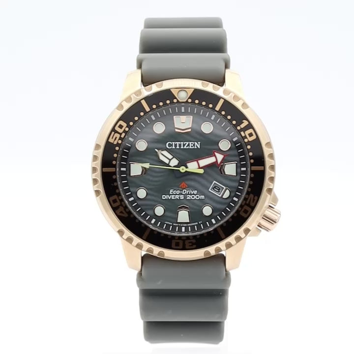 Citizen Promaster Dive Eco-Drive E168-A14ST07