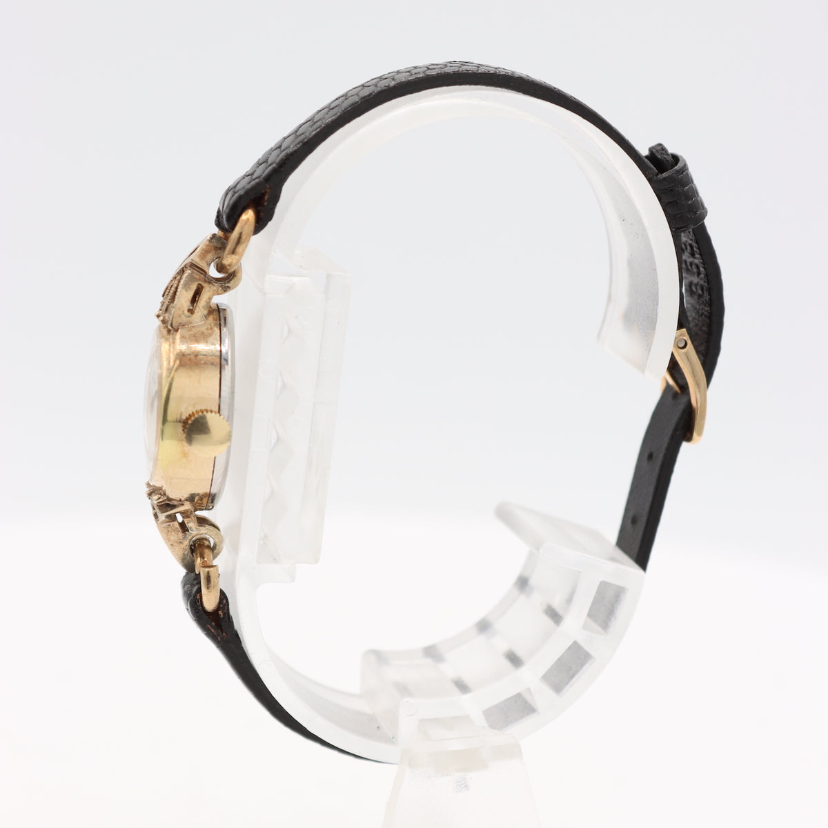 Glycine Fancy Lugs