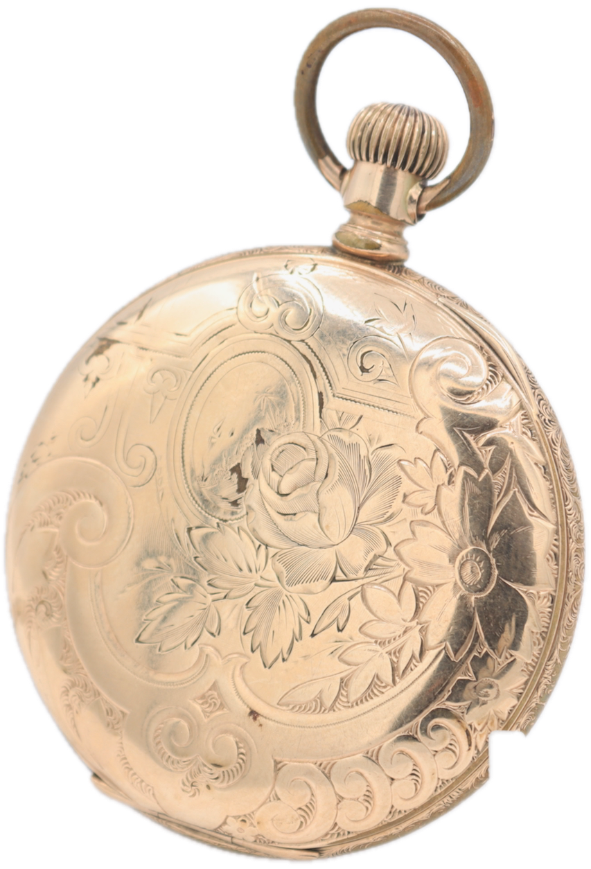 Elgin Multicolor 1896