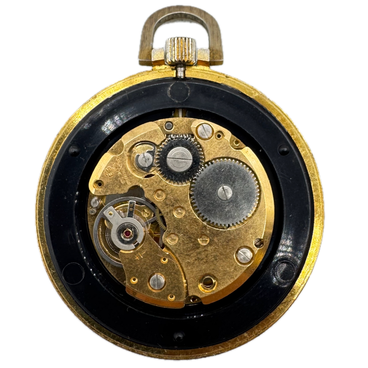 Ever Swiss Skeletonized