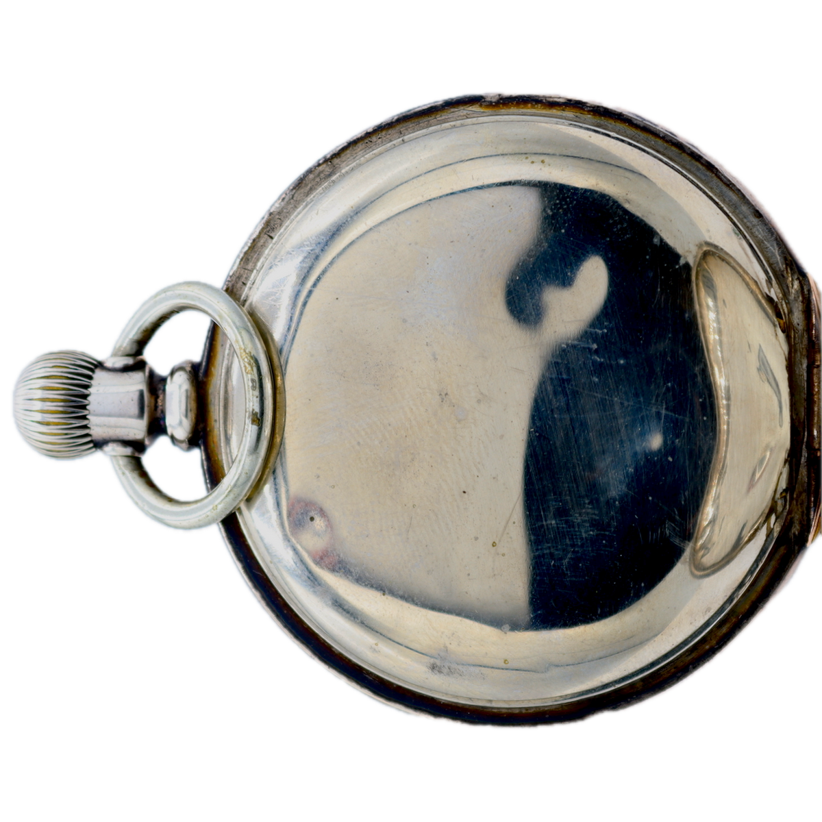 Appleton Tracy & Co. 1901
