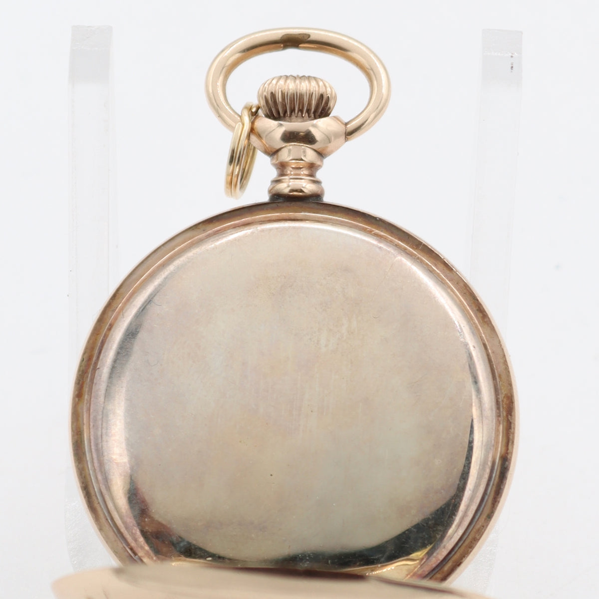 Elgin Green Multicolor 1897