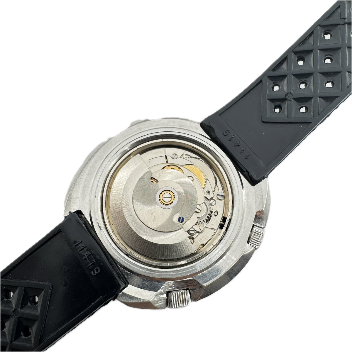 Lord Elgin Diver 1501